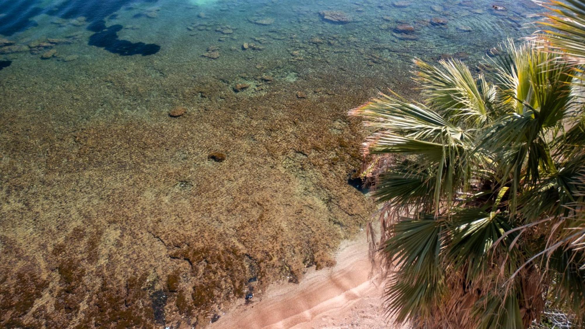 La Casetta Sul Mare Hébergement de vacances *